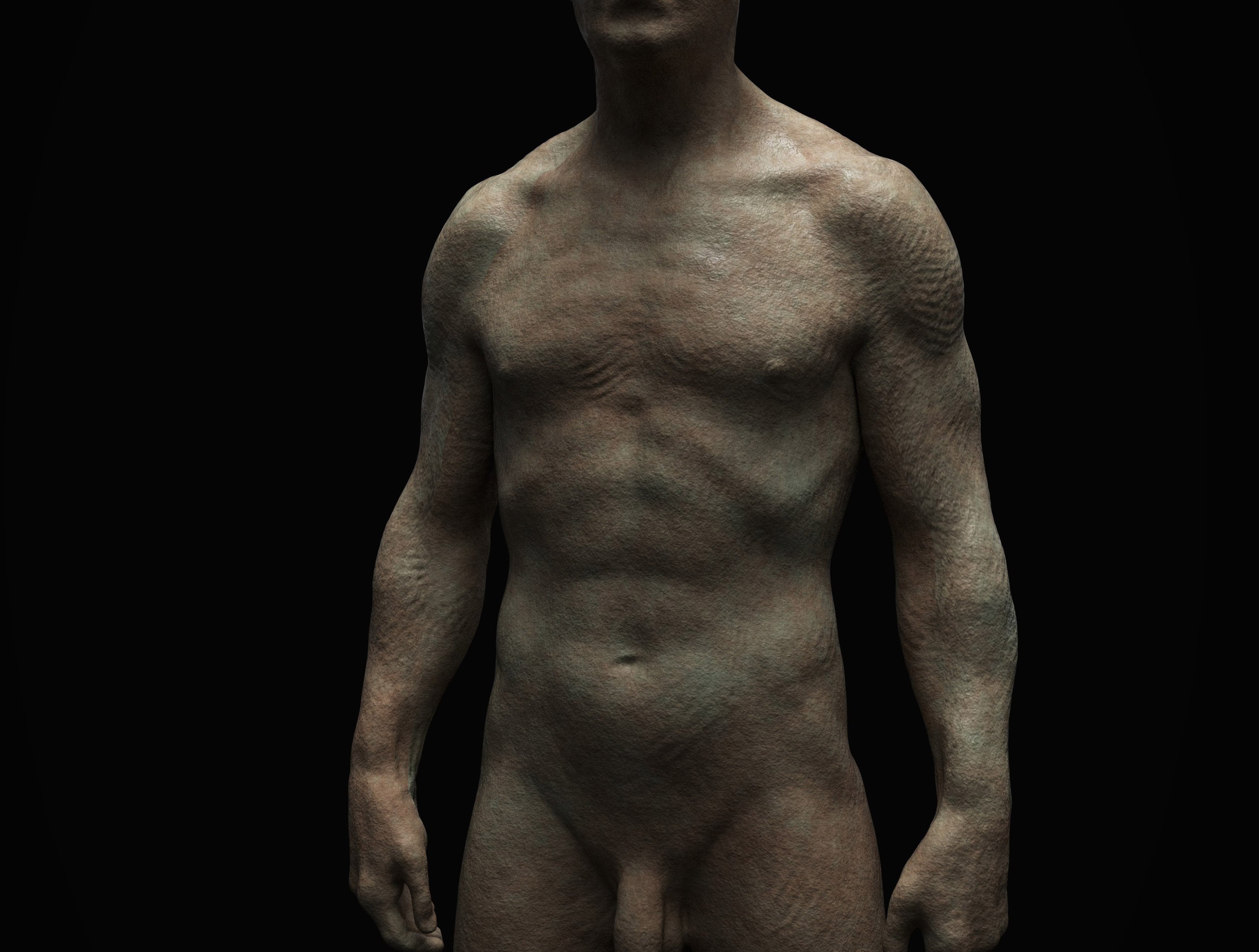 Anatomy4.jpg