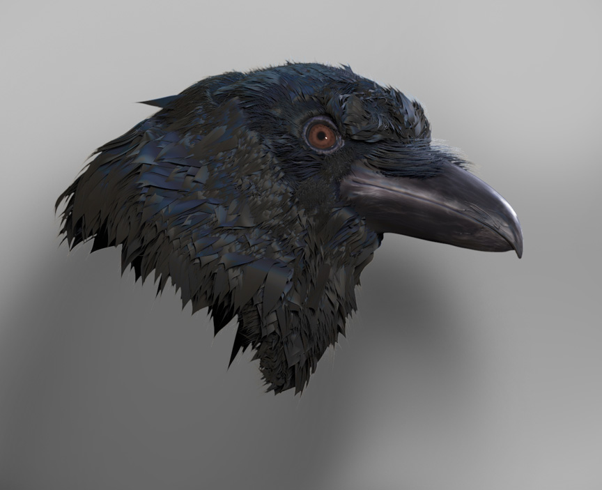 Raven 01.jpg