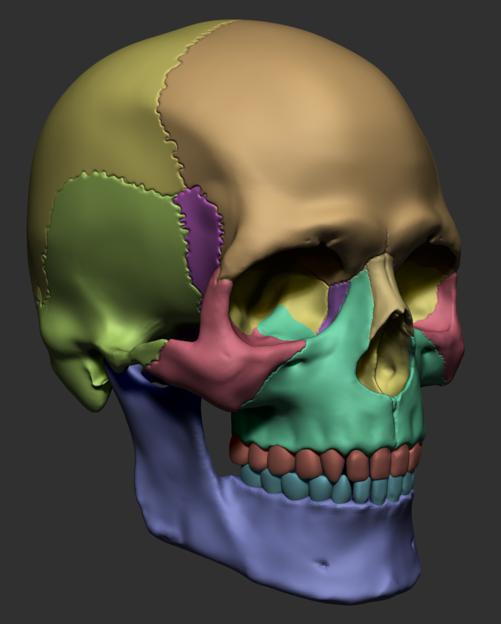 Skull_05.png