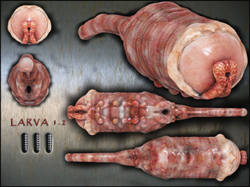 larva2small.jpg