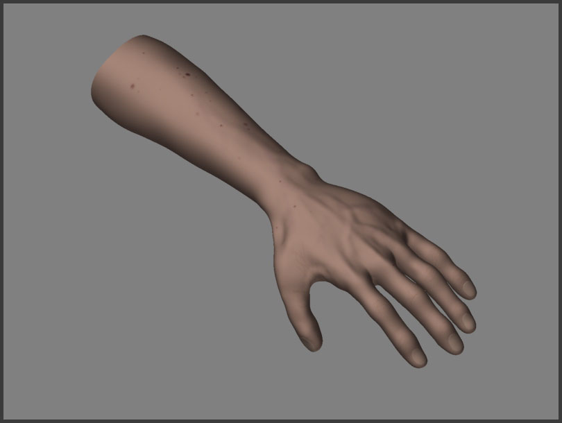 My Left Arm 02.jpg