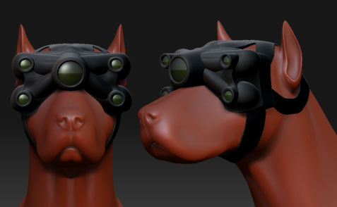 NV_Dog.jpg