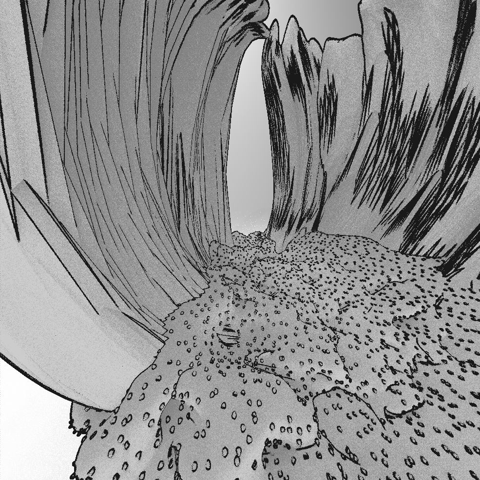 untitled.150.jpg