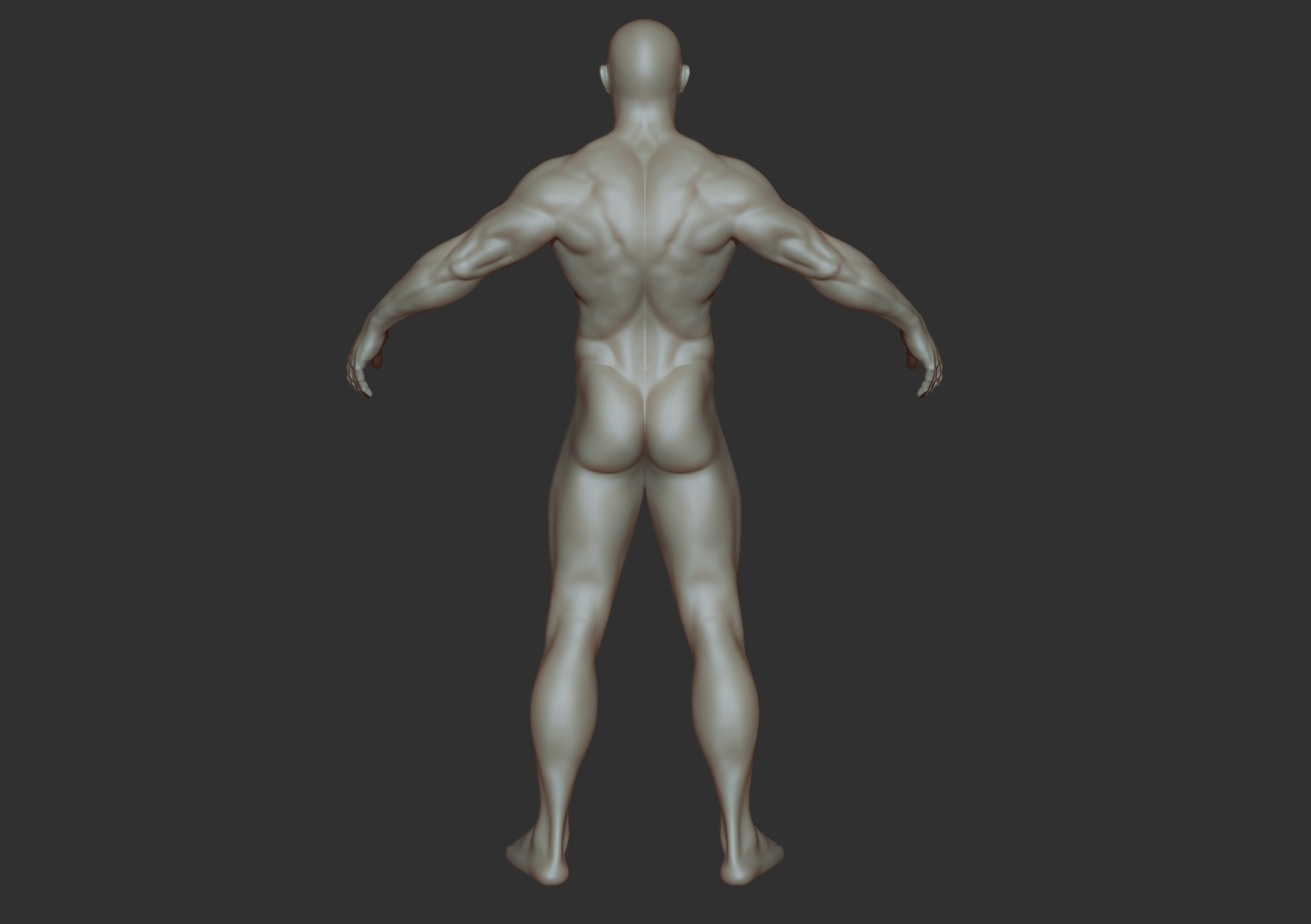 body builder_back.jpg