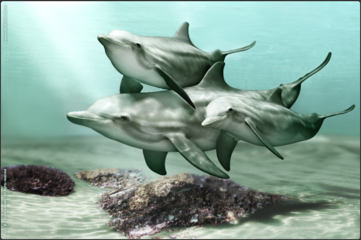lithium_BottleNose_2.jpg