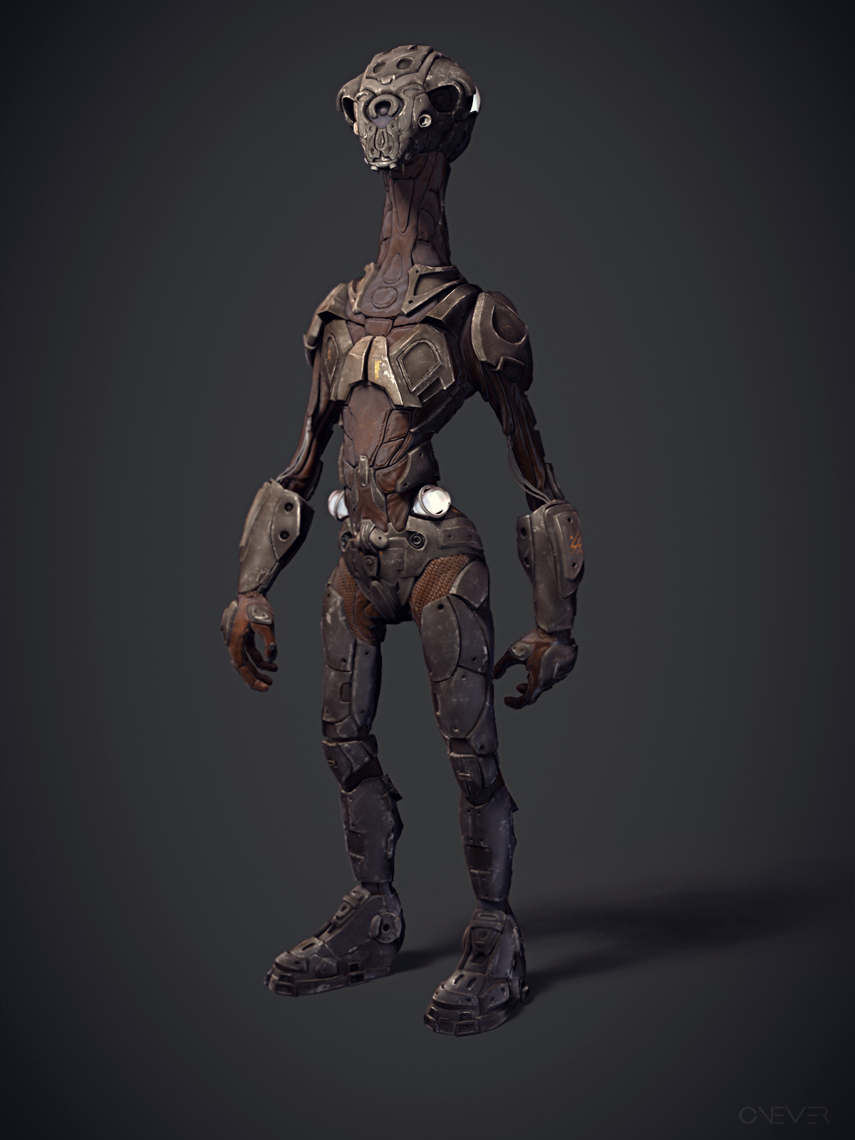 front.jpg