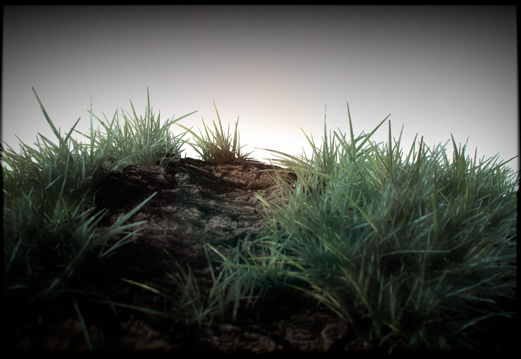 grass1.jpg