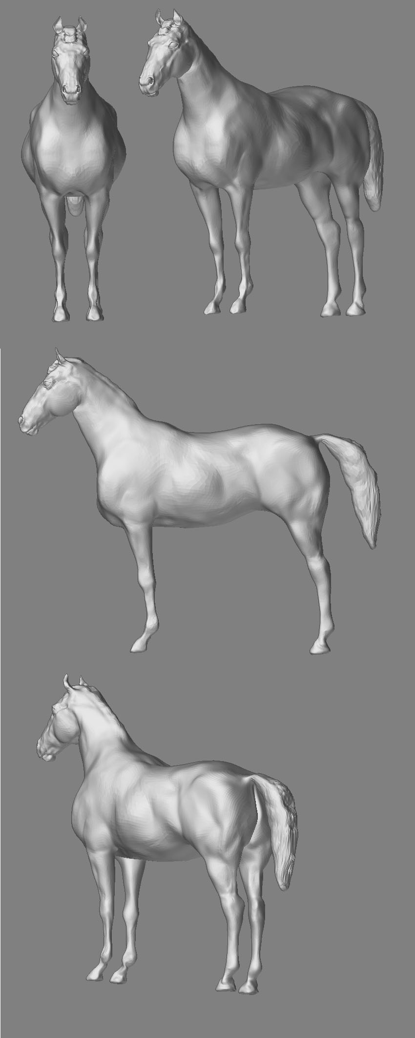 horse.jpg