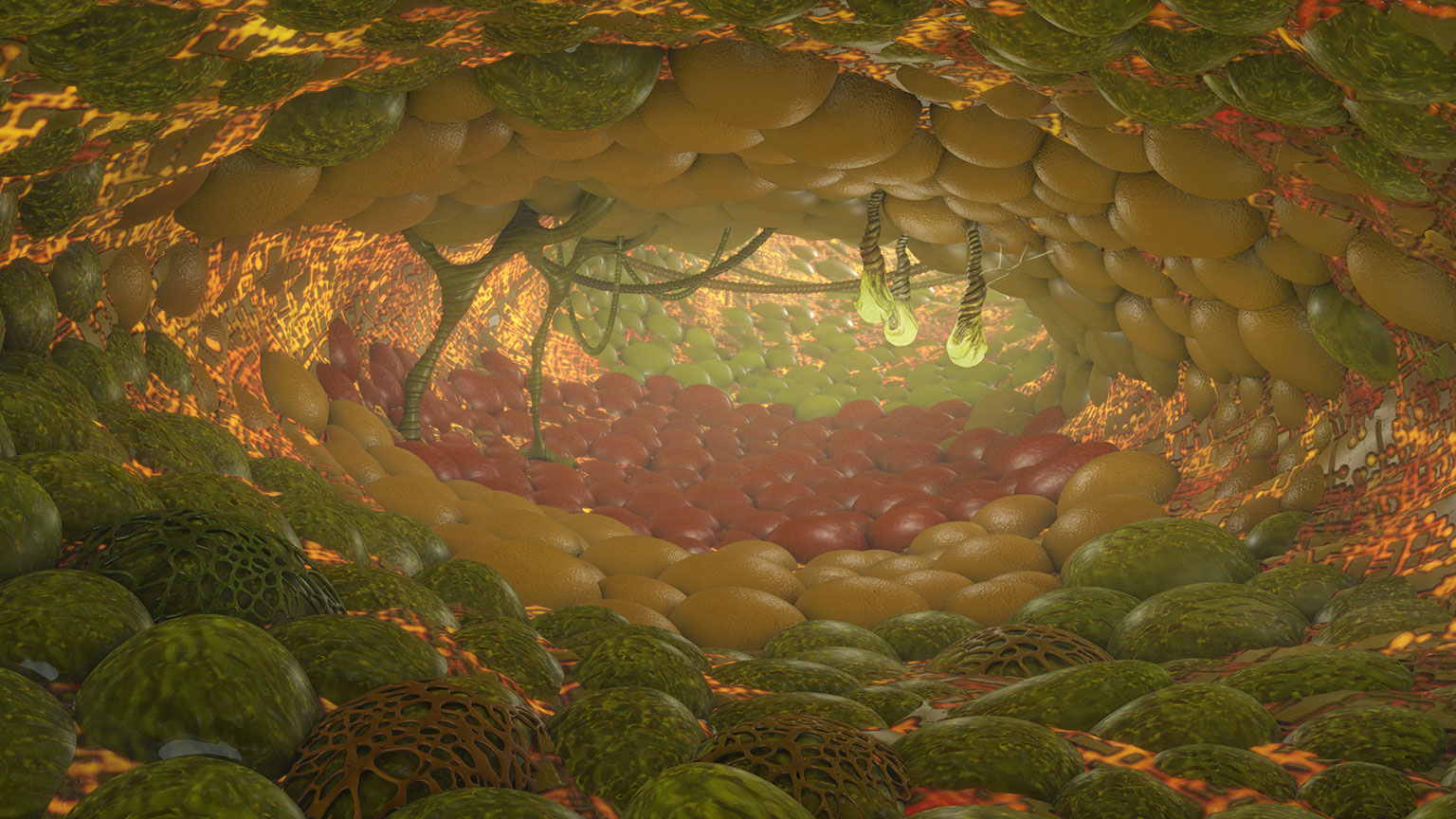 tunnel_colour_1_final_test_1_web.jpg