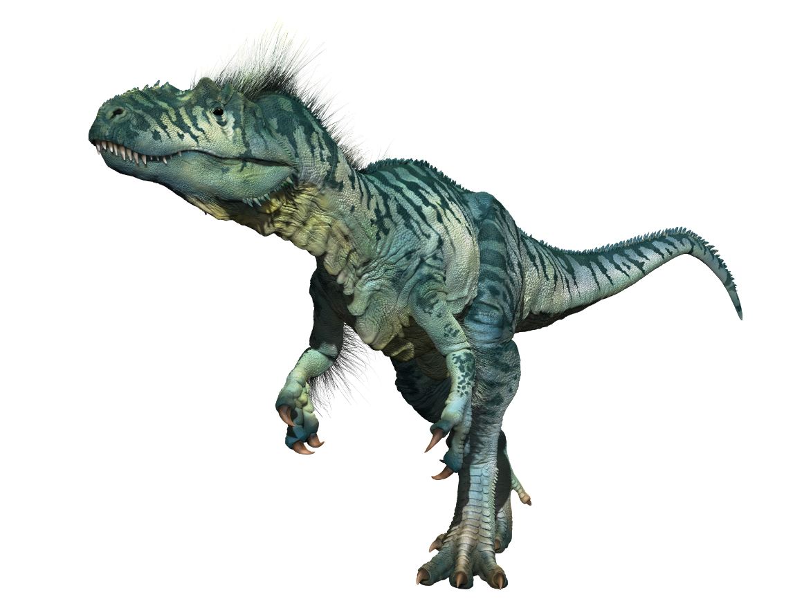 allosaurus 1.JPG