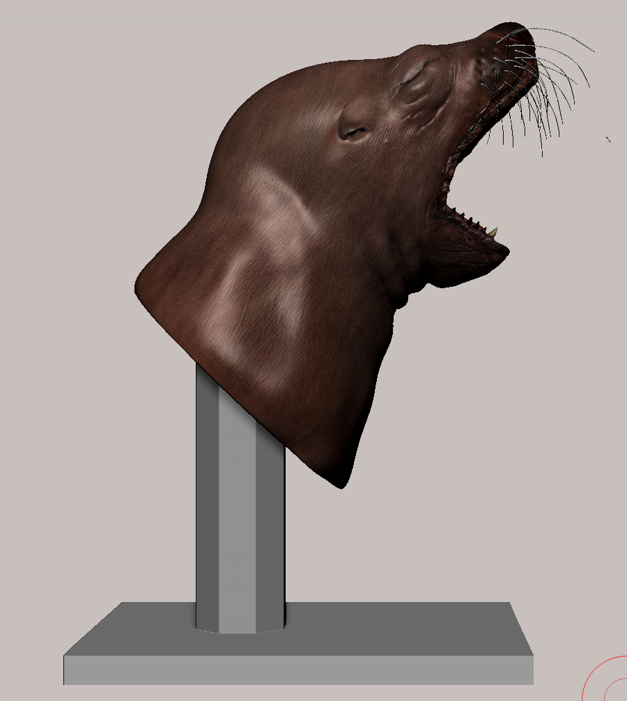zbrushSealion03.jpg