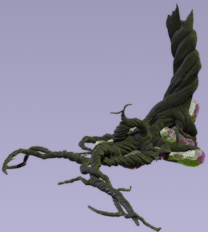 fronttree.jpg