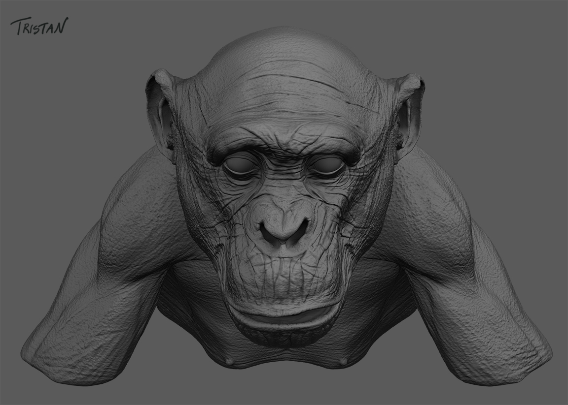 Monkey_WIP_V2_01.jpg