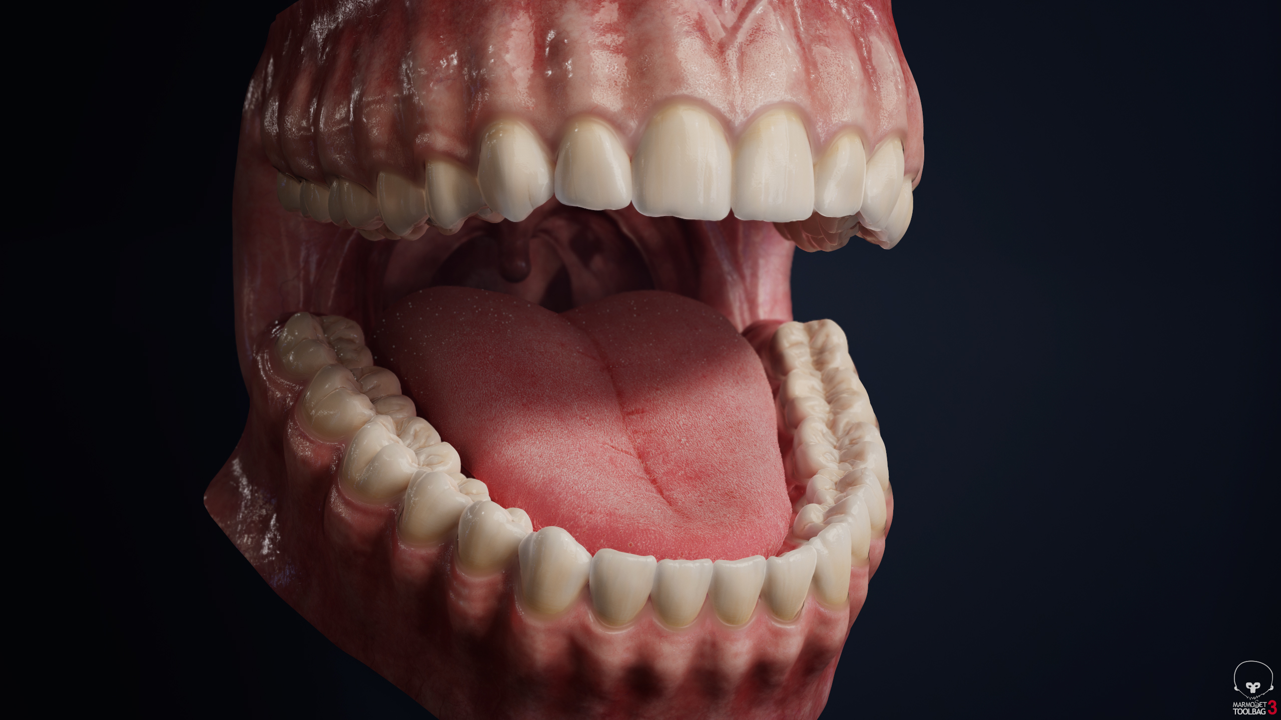 screenshot028_c.jpg