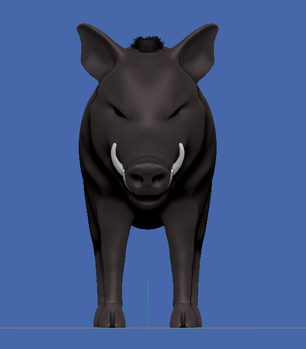 boarWip16b.jpg
