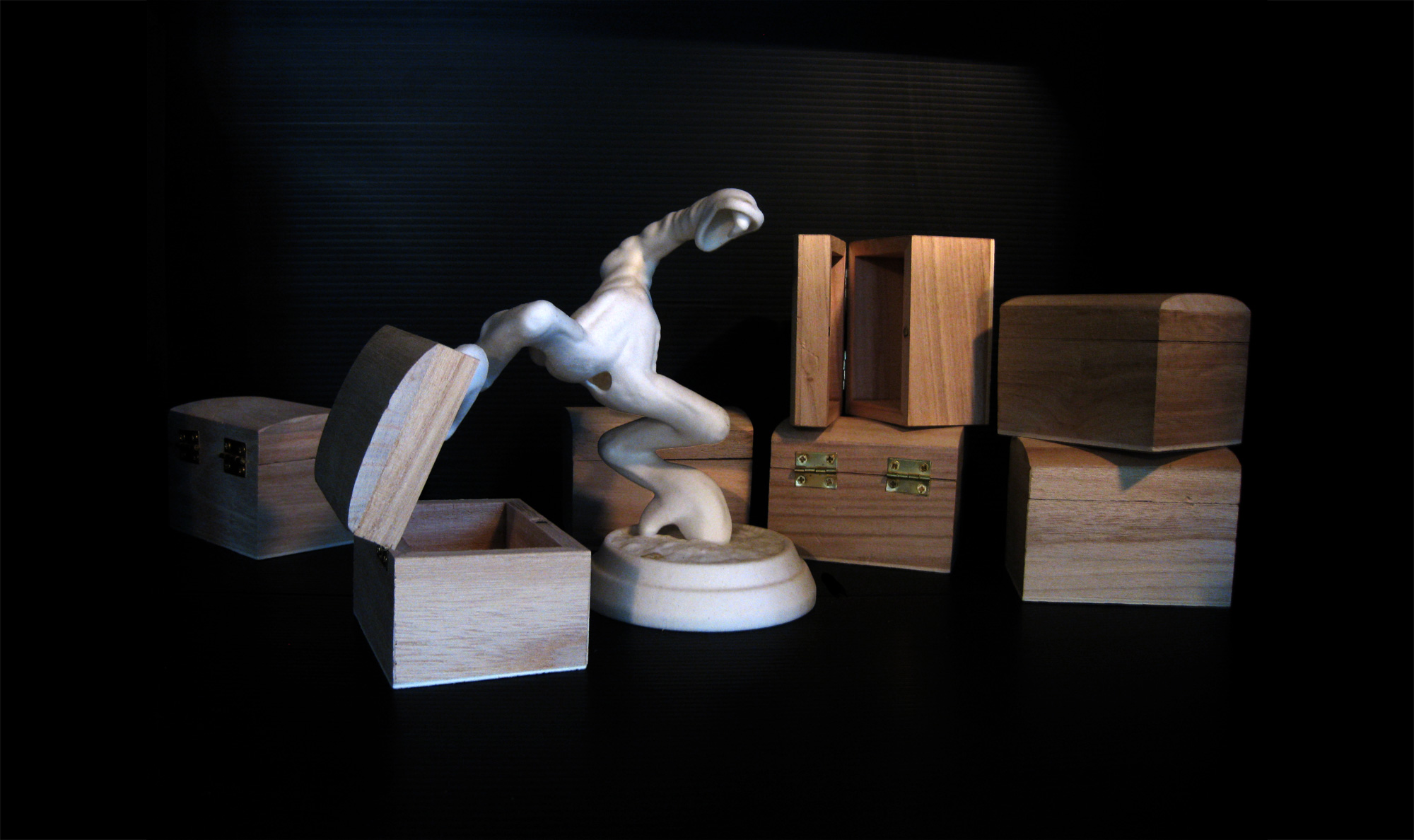 composed-box-animal2.jpg