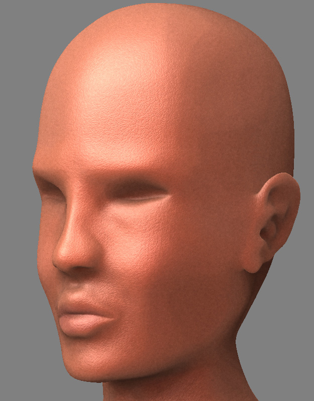 Head.jpg