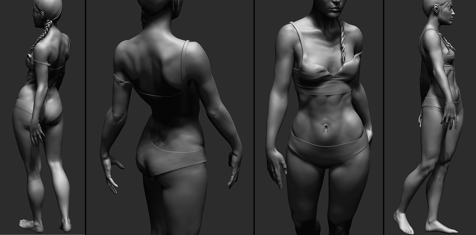 femaleanatomyposedwip1.jpg
