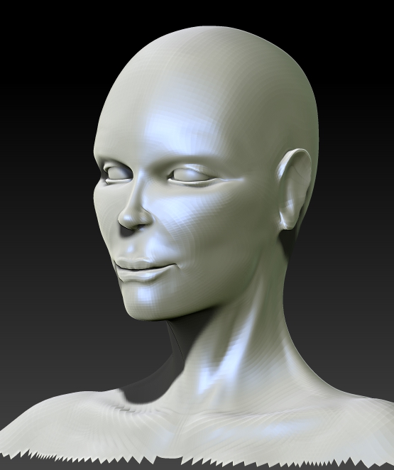 FEMALE ANATOMY retry13.jpg