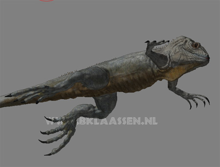 iguana.jpg