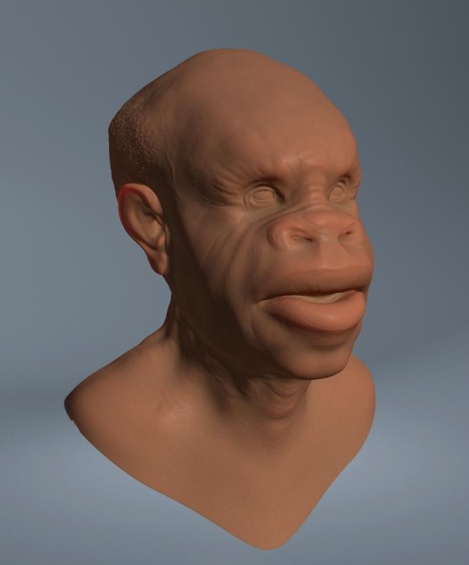 apewx4.jpg