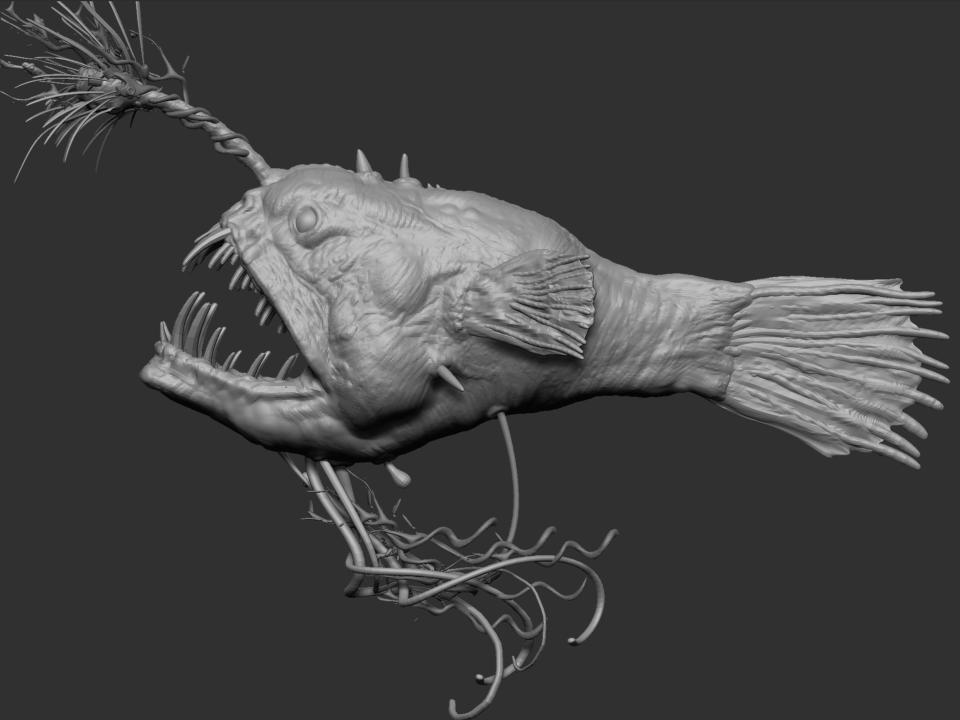 fish basic 2.1.jpg