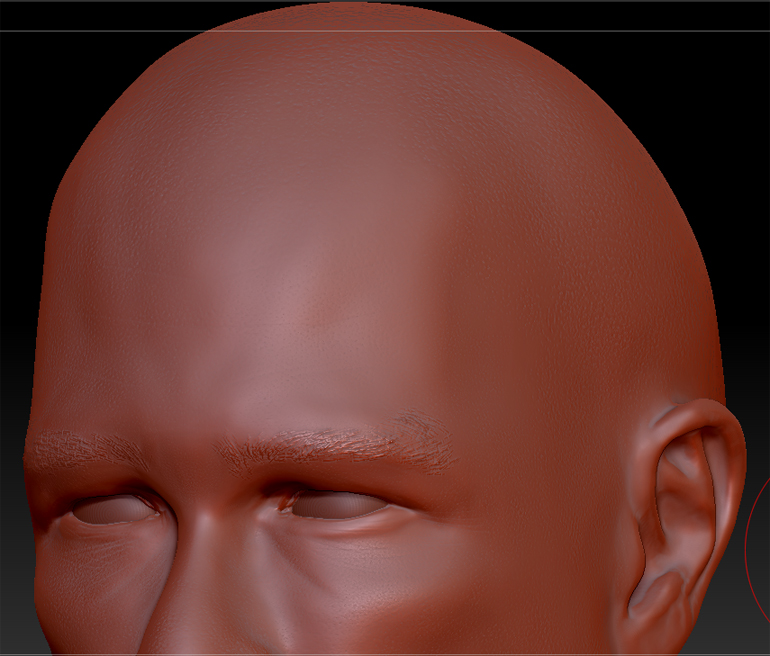 WIP_CloseUp02.jpg
