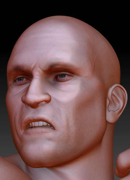 Head.jpg
