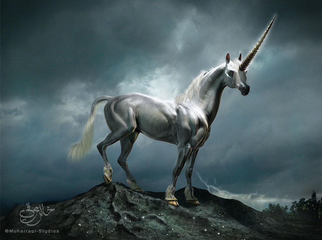 Silver-Unicorn.jpg