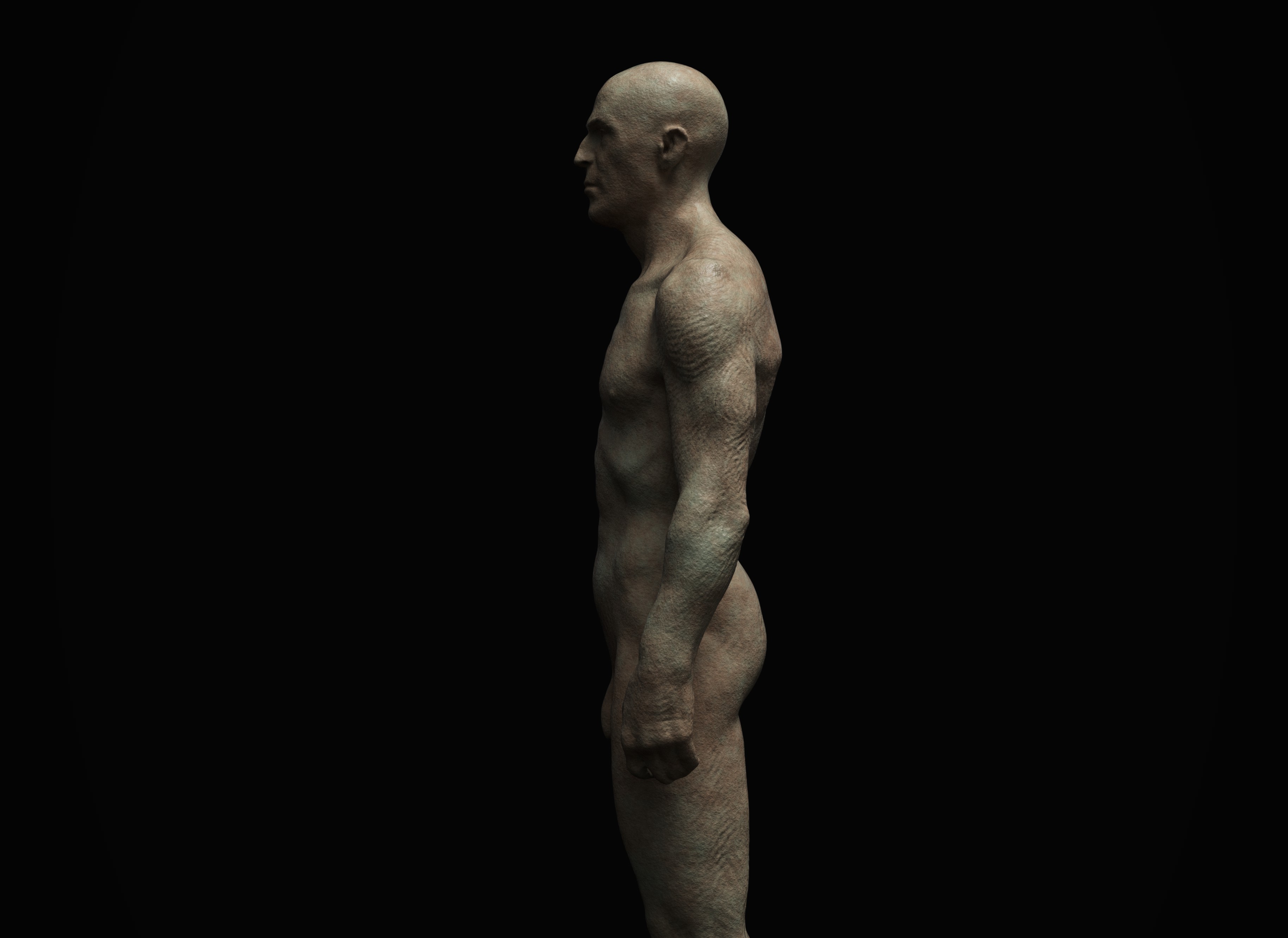 Anatomy8.jpg