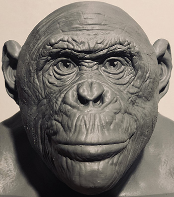 bonobo_b_thumb