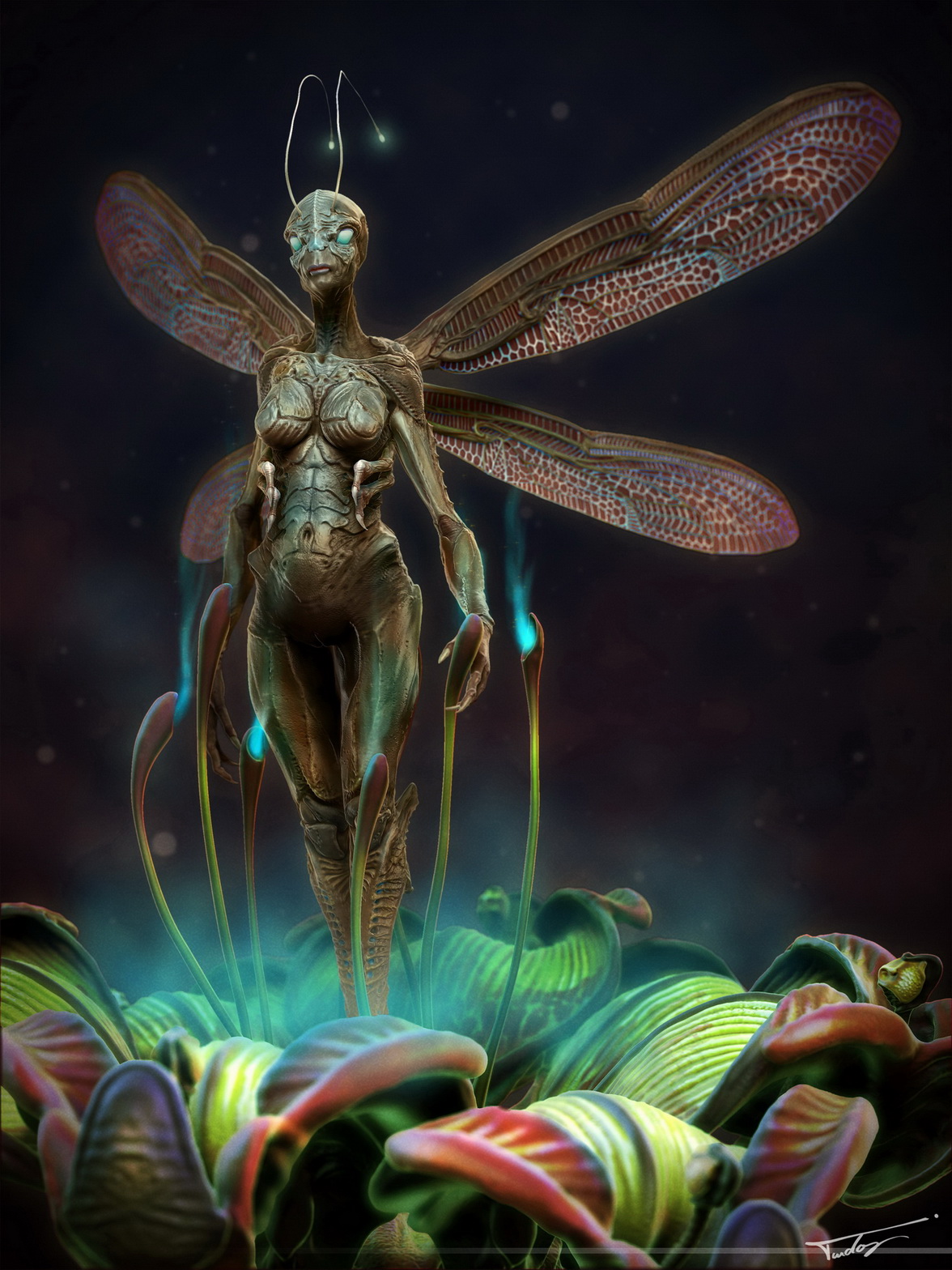 Dragonfey_BRP.jpg