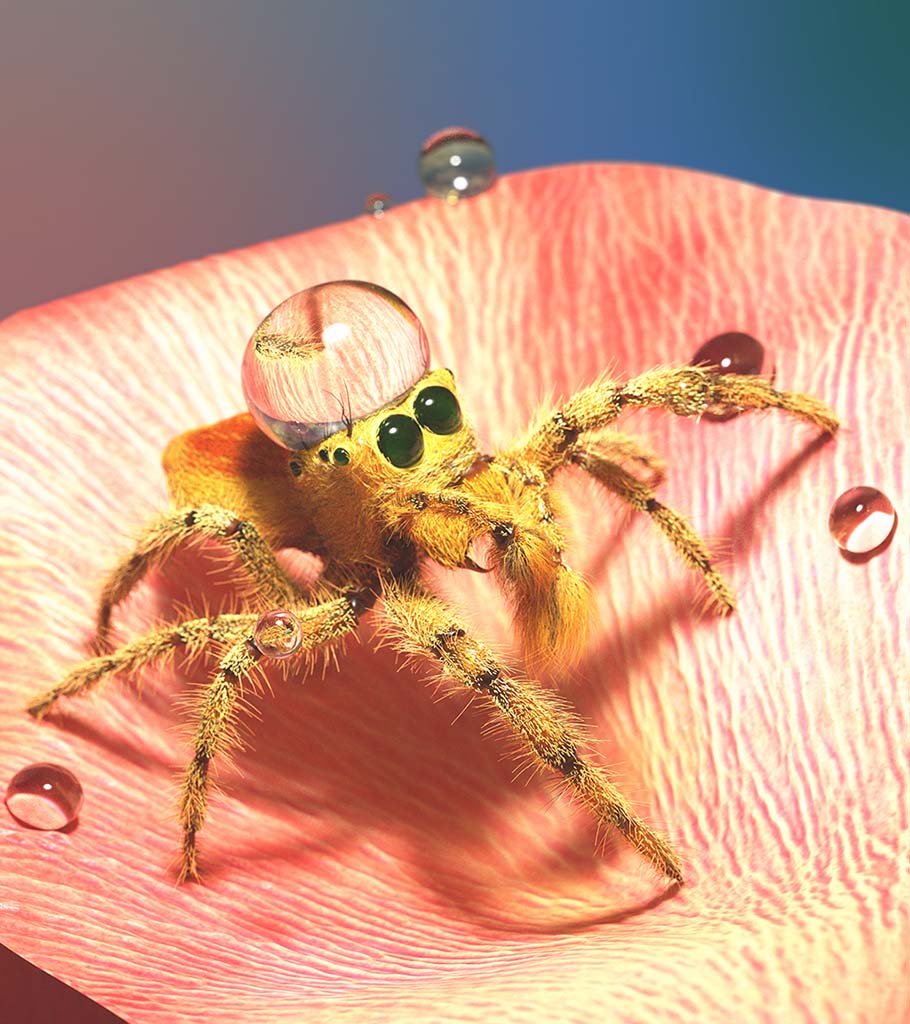 goldenJumper_zbc02.jpg