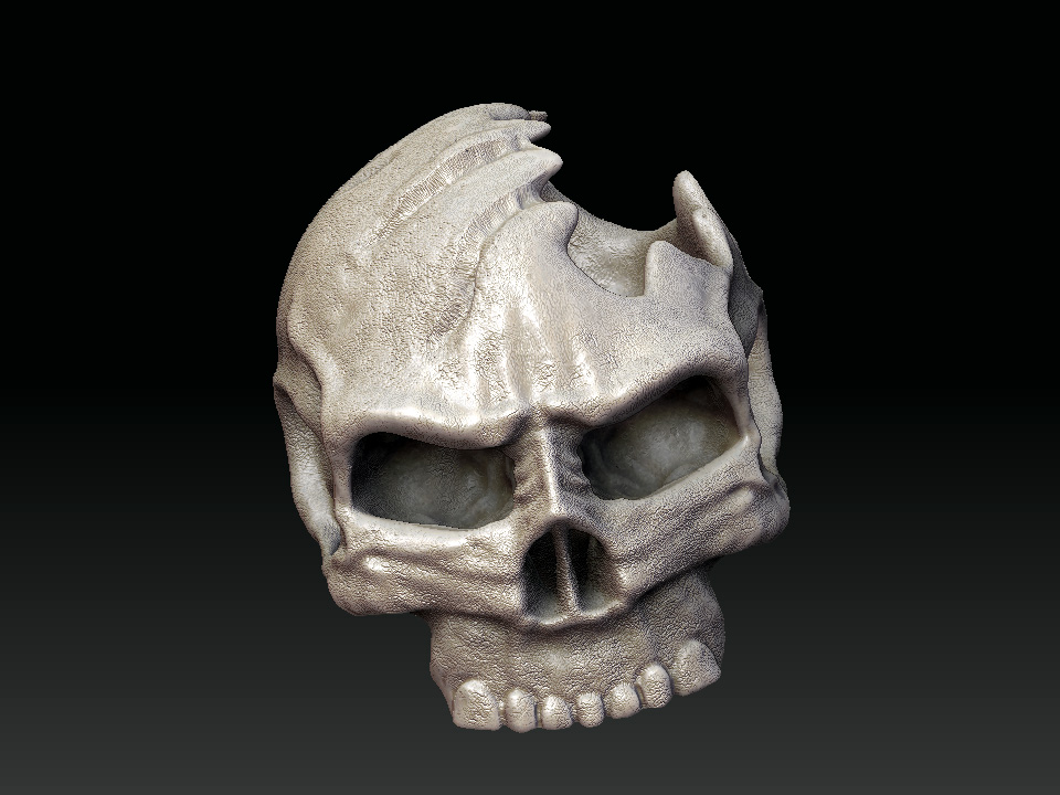 1st_Skull.jpg
