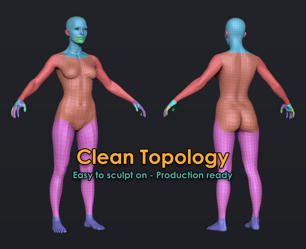 Wire_Body_Female.jpg