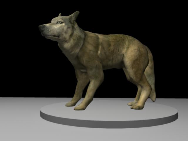 wolf.jpg