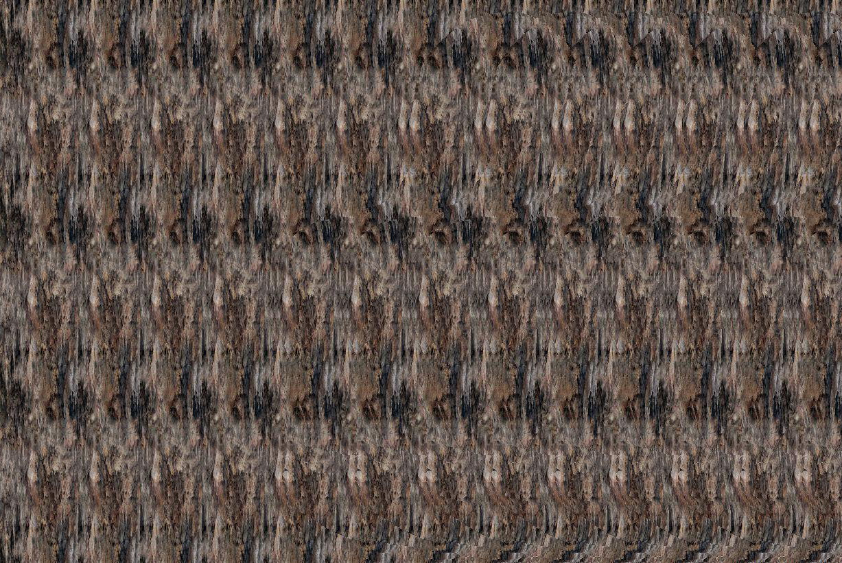 inverted.jpg