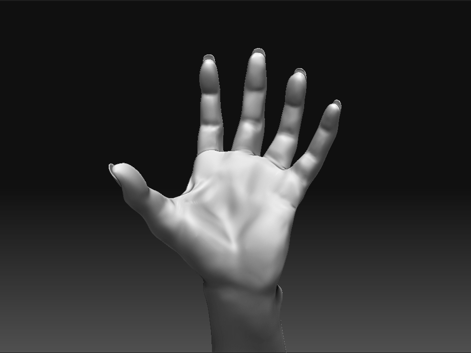 handStudy01.jpg