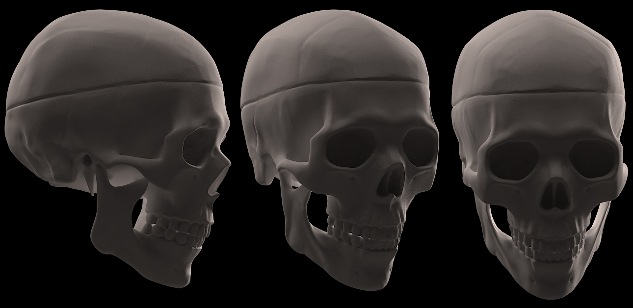 scull_side01.jpg