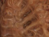 wip04_thumb.jpg