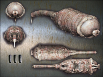 metal-backgroundsmall.jpg