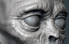 ZombieThumb.jpg