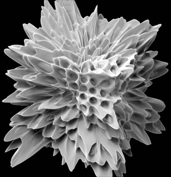 ZBrush Document2.JPG