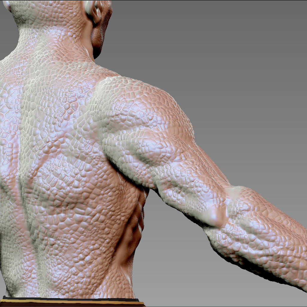 Scales1.jpg