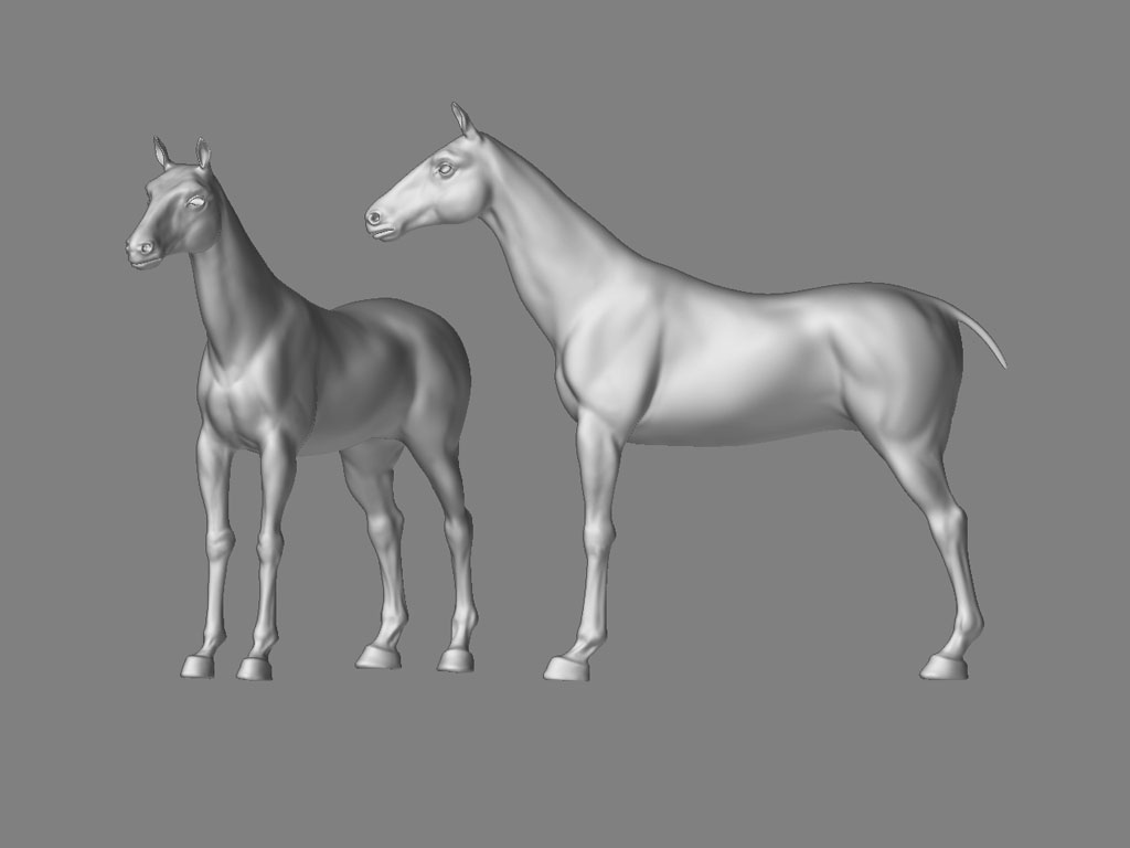 horse01.jpg