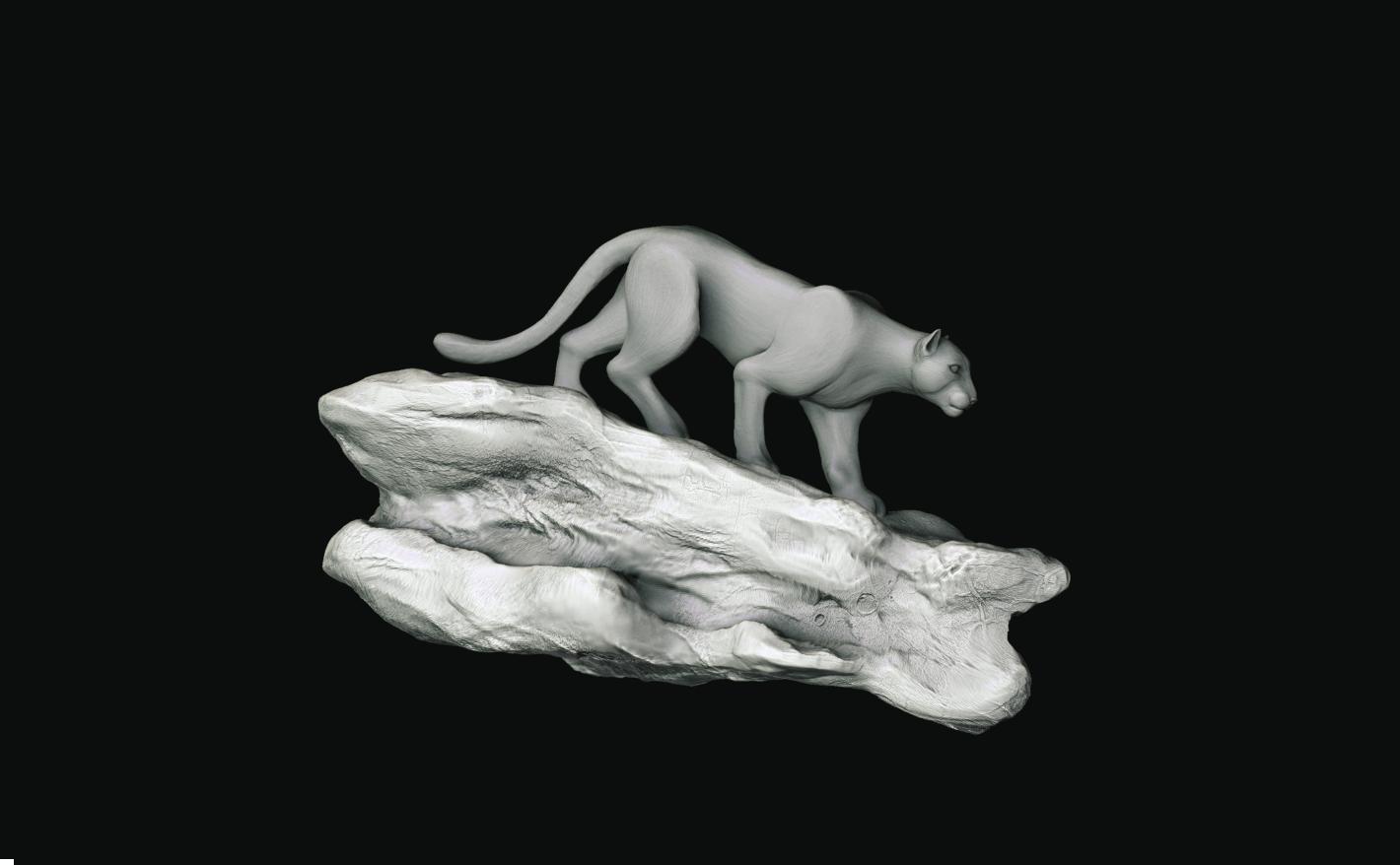 moni cougar 003.jpg