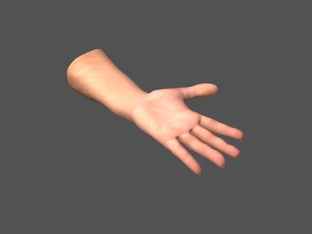HandRenderBottom.jpg