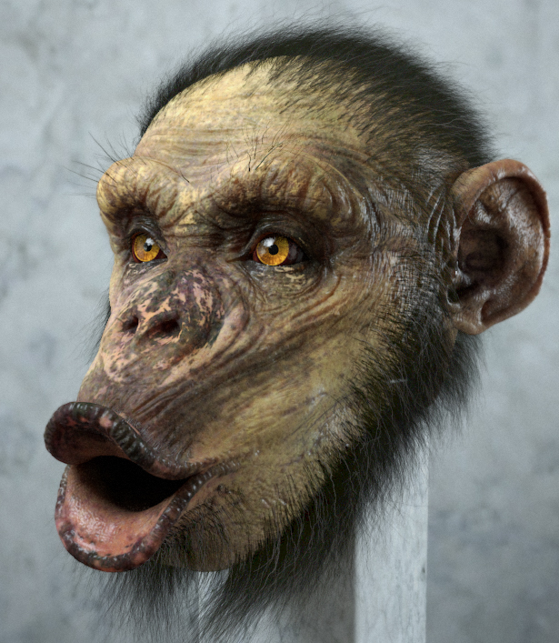 Michael_Milano_Monkey_ZBC.jpg