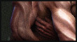Flesh_view_01_ZB-T.jpg