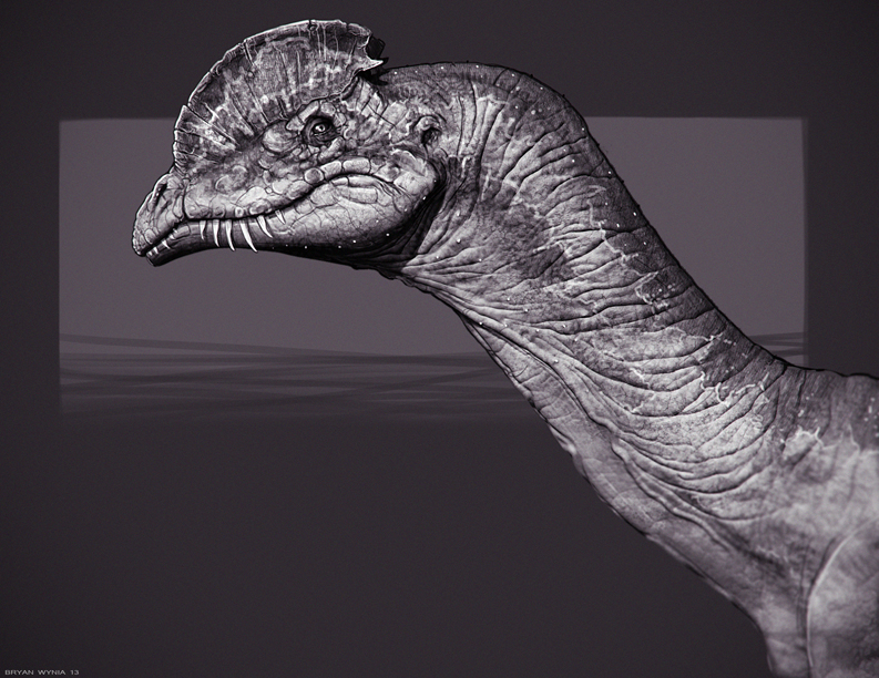 DilophosaurusStudy_web.jpg